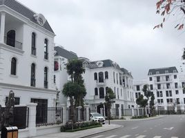 5 Bedroom Villa for sale in Hai Phong, Thuong Ly, Hong Bang, Hai Phong