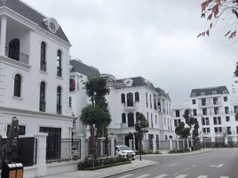 5 Schlafzimmer Villa zu verkaufen in Hong Bang, Hai Phong, Thuong Ly, Hong Bang, Hai Phong