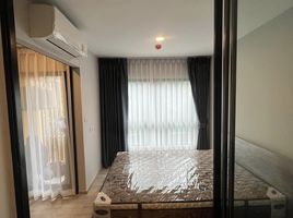 1 Schlafzimmer Wohnung zu vermieten im Plum Condo Sukhumvit 97.1, Bang Chak