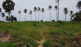 N/A Land for sale in Sala Dan, Krabi 