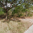  Land for sale in Samo Khae, Mueang Phitsanulok, Samo Khae