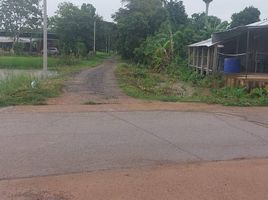  Land for sale in Thuem Tong, Mueang Nan, Thuem Tong