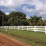  Land for sale in Alajuela, San Mateo, Alajuela