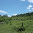  Land for sale in Thalang, Phuket, Pa Khlok, Thalang