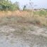  Land for sale in Mueang Chon Buri, Chon Buri, Nong Ri, Mueang Chon Buri