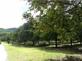  Land for sale in Ranong, Bang Kaeo, La-Un, Ranong