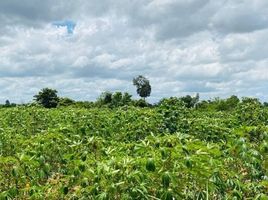  Land for sale in Krong Siem Reap, Siem Reap, Krong Siem Reap