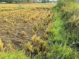 ขายที่ดิน ใน ดอยสะเก็ด เชียงใหม่, สำราญราษฎร์