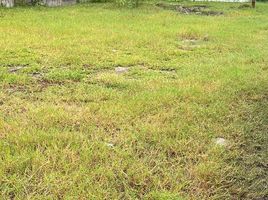  Grundstück zu verkaufen in La Ceiba, Atlantida, La Ceiba, Atlantida