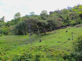 1 Schlafzimmer Haus zu verkaufen im Dominical, Aguirre, Puntarenas, Costa Rica