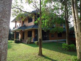 4 Schlafzimmer Haus zu verkaufen im Baan Tambon Tawangtan, Tha Wang Tan, Saraphi, Chiang Mai