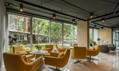 Photo 3 of the Lounge at Dcondo Campus Resort Bangsaen