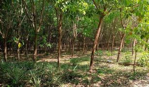 N/A Land for sale in Na Di, Prachin Buri 