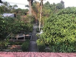 Studio House for sale in An Nhon Tay, Cu Chi, An Nhon Tay