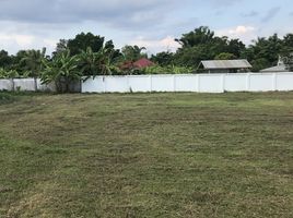  Land for sale in Phon Phisai, Nong Khai, Chumphon, Phon Phisai