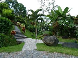 1 Schlafzimmer Haus zu verkaufen in Aguirre, Puntarenas, Aguirre