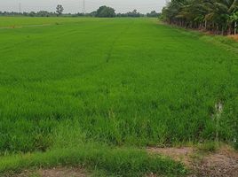 Land for sale in Chachoengsao, Bang Nam Priao, Chachoengsao