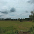 Land for sale in Nong Saeng, Hankha, Nong Saeng