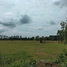  Land for sale in Hankha, Chai Nat, Nong Saeng, Hankha