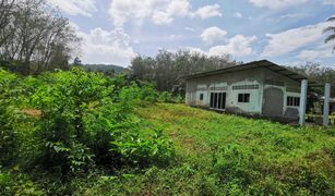 N/A Grundstück zu verkaufen in Ban Khuan Mut, Nakhon Si Thammarat 