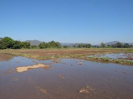  Grundstück zu verkaufen in San Sai, Chiang Mai, Nong Yaeng