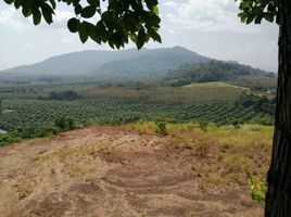  Grundstück zu verkaufen in Thalang, Phuket, Thep Krasattri