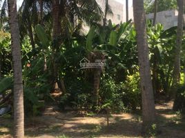 Studio Villa for sale in Binh Thuan, Mui Ne, Phan Thiet, Binh Thuan