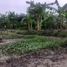  Land for sale in Lipa Noi Beach, Lipa Noi, Lipa Noi