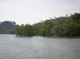 ขายที่ดิน ใน ตะกั่วป่า พังงา, เกาะคอเขา