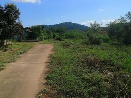  Land for sale in Pak Nam, Mueang Chumphon, Pak Nam