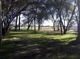  Grundstück zu verkaufen in Primero De Mayo, Chaco, Primero De Mayo