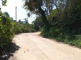  Grundstück zu verkaufen in Thalang, Phuket, Choeng Thale