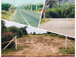  Land for sale in Ratchaburi, Chom Bueng, Chom Bueng, Ratchaburi