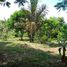  Land for sale in Presidente Figueiredo, Amazonas, Balbina, Presidente Figueiredo