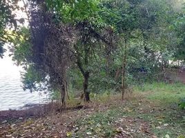  Land for sale in Brazil, Tefe, Amazonas, Brazil