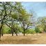  Land for sale in Guanacaste, Liberia, Guanacaste