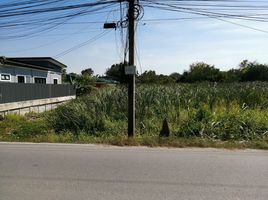  Grundstück zu verkaufen in Bang Pa-In, Phra Nakhon Si Ayutthaya, Bang Krasan