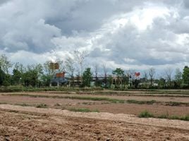  Grundstück zu verkaufen in Chiang Kham, Phayao, Nam Waen