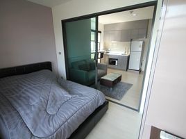 1 Schlafzimmer Appartement zu vermieten im Rhythm Asoke 2, Makkasan