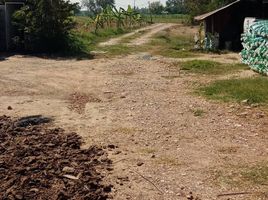  Land for sale in Suphan Buri, Don Chedi, Don Chedi, Suphan Buri
