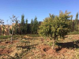  Land for sale in Marche central d'El Jadida, Na El Jadida, Na El Jadida