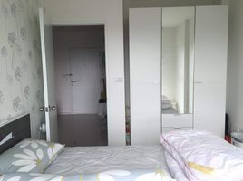 1 Schlafzimmer Appartement zu verkaufen im Aspire Sukhumvit 48, Phra Khanong, Khlong Toei, Bangkok