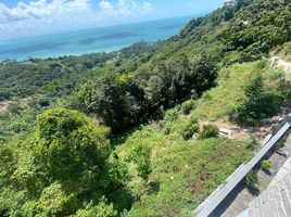  Land for sale in Ang Thong, Koh Samui, Ang Thong