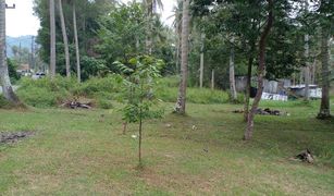 N/A Grundstück zu verkaufen in Pa Khlok, Phuket 