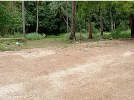  Land for sale in Pa Khlok, Phuket, Pa Khlok, Thalang