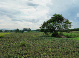 ขายที่ดิน ใน นิคมพัฒนา ระยอง, มะขามคู่, นิคมพัฒนา, ระยอง, ไทย