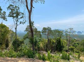  Grundstück zu verkaufen in Takua Thung, Phangnga, Tha Yu