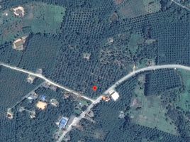  Grundstück zu verkaufen in Mueang Chumphon, Chumphon, Hat Phan Krai, Mueang Chumphon