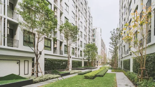 图片 1 of the Communal Garden Area at Notting Hill Sukhumvit 105