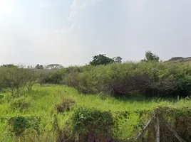  Grundstück zu verkaufen in Mueang Rayong, Rayong, Choeng Noen, Mueang Rayong